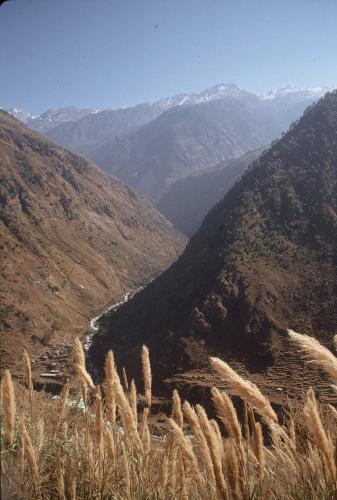 006523-R1-E041.jpg