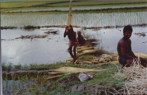Jute Workers Bangladesh-1.jpg